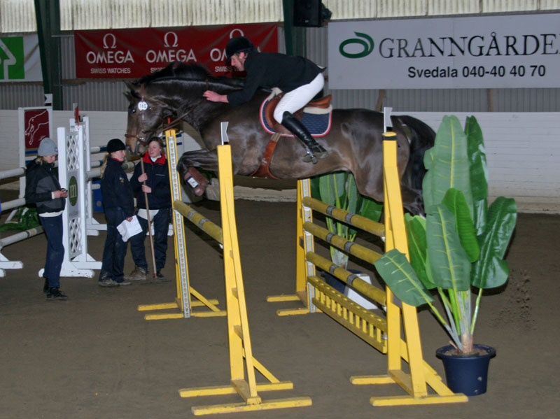 20080405_164244 Henrik Rosenkvist Baloo